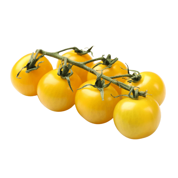 Gele/oranje tomaat