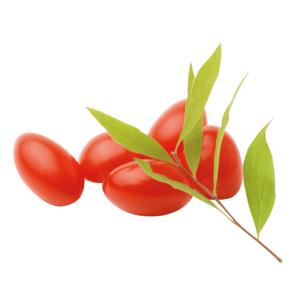 Goji berry