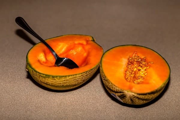 Groene charentais meloen