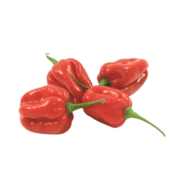 Habanero peper