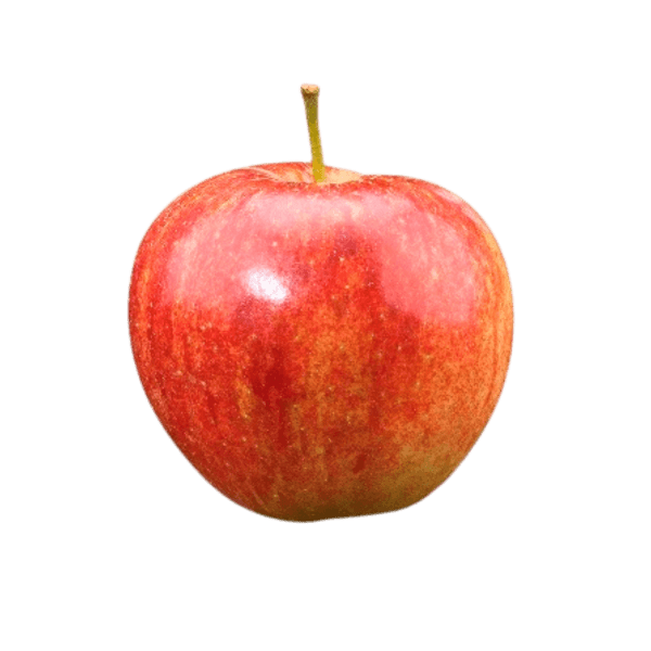 Jonagold appel