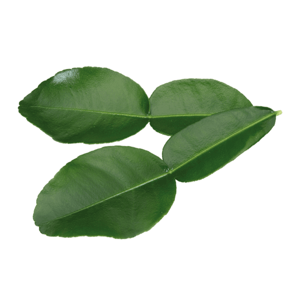 Kaffir Lime Leaves