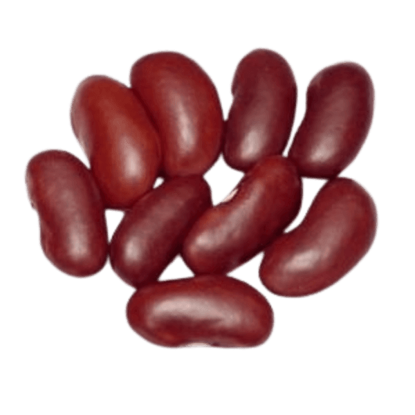 Kidneybonen