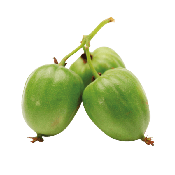 Kiwi berry
