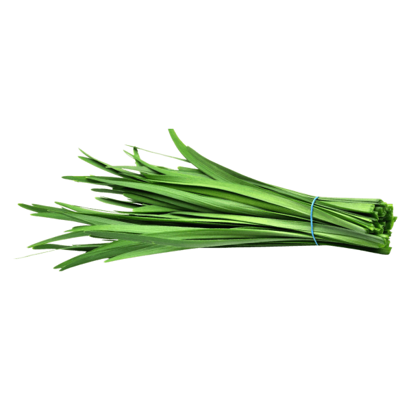Knoflookbieslook