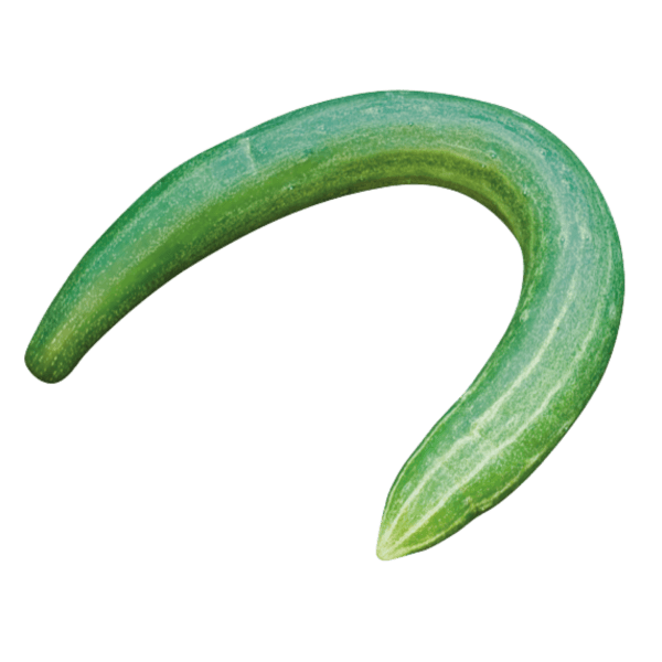Kromme komkommers
