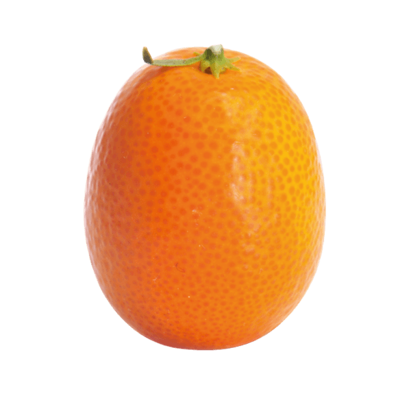 Kumquat