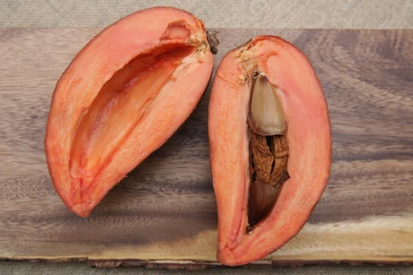 Mamey Sapota