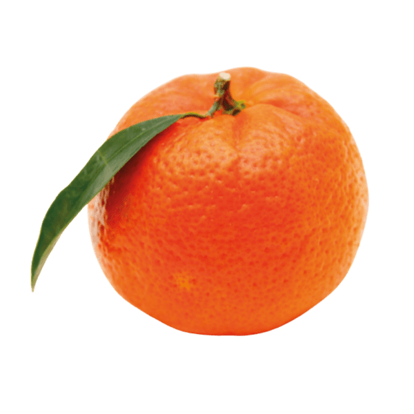 Mandarijn (Mediterrane types)