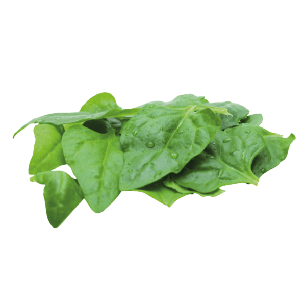 Nieuw-Zeelandse spinazie