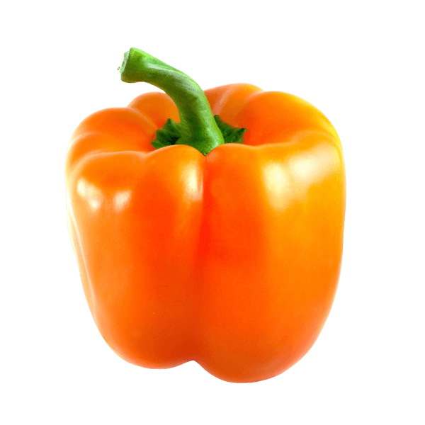 Oranje paprika