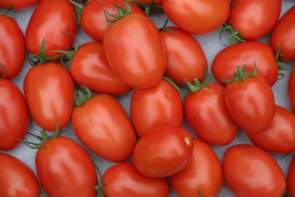 Pruimtomaten