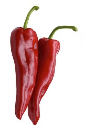 Puntpaprika