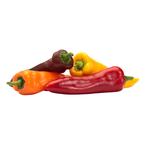 Puntpaprika