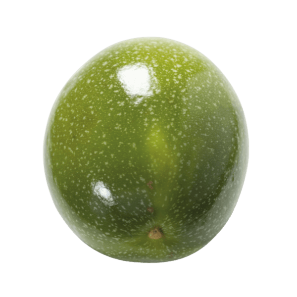 Reuzen granadilla