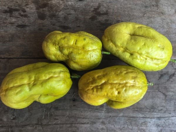 Reuzen granadilla