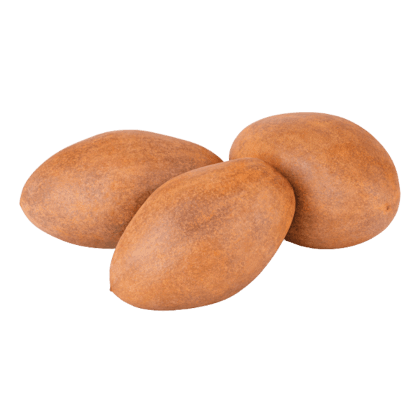 Sapodilla