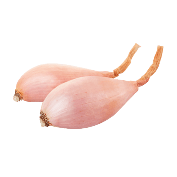 Sjalot