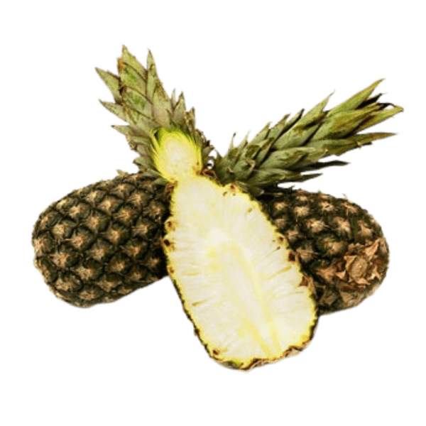 Sugarloaf pineapple