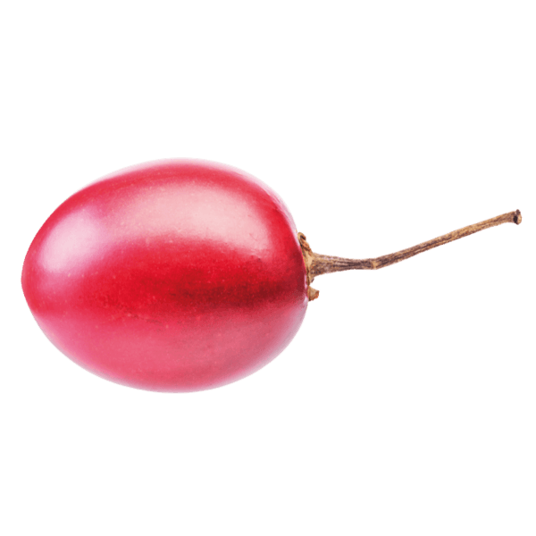 Tamarillo