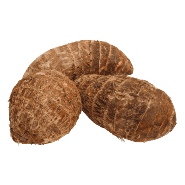 Taro