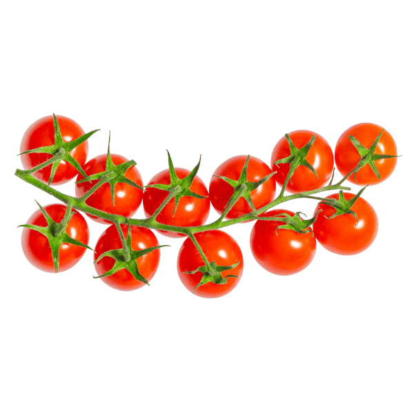 Troscocktailtomaten