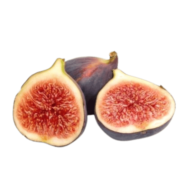 Vijgen