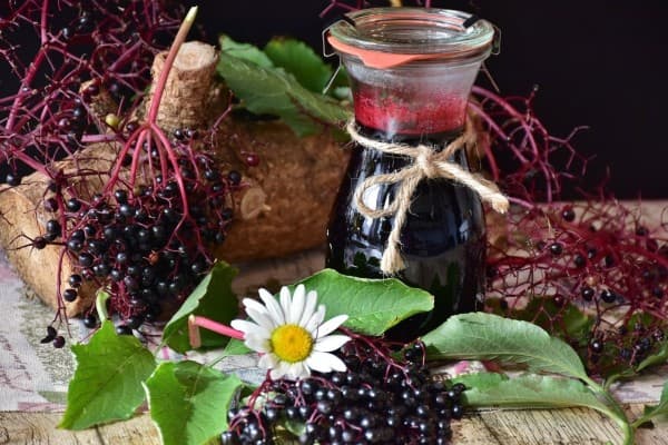 Elderberries