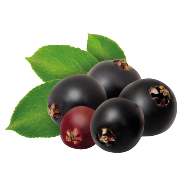 Elderberries