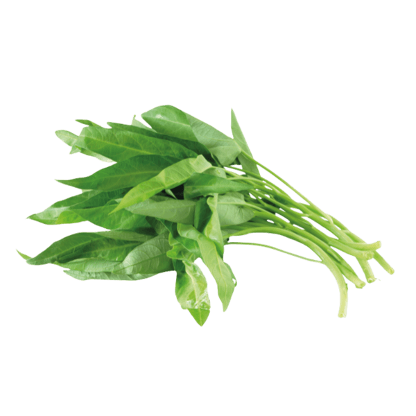 Wasserspinat (Ong choy)