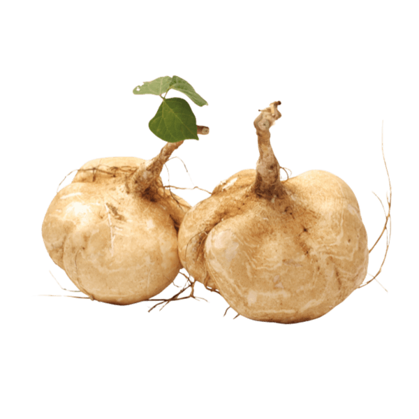 Yamboon