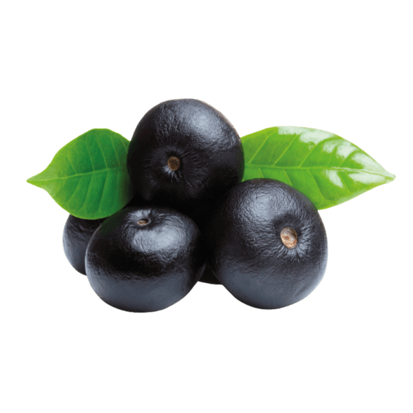 Açai berry