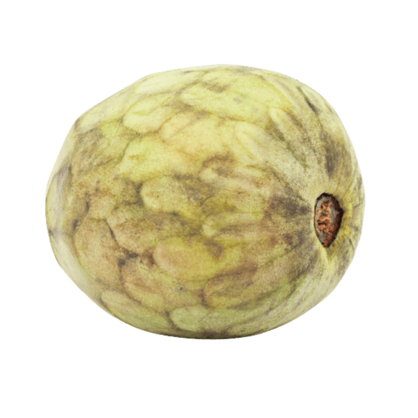 Cherimoya