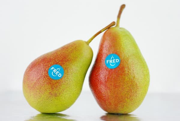 Fred© pear