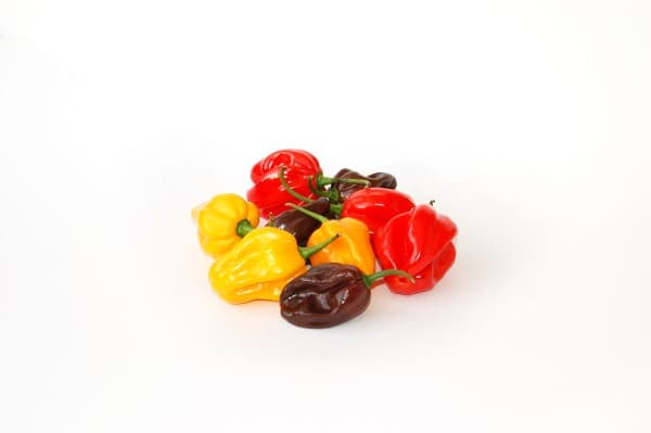 Habanero peper