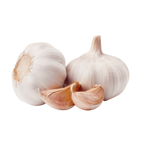 Knoflook
