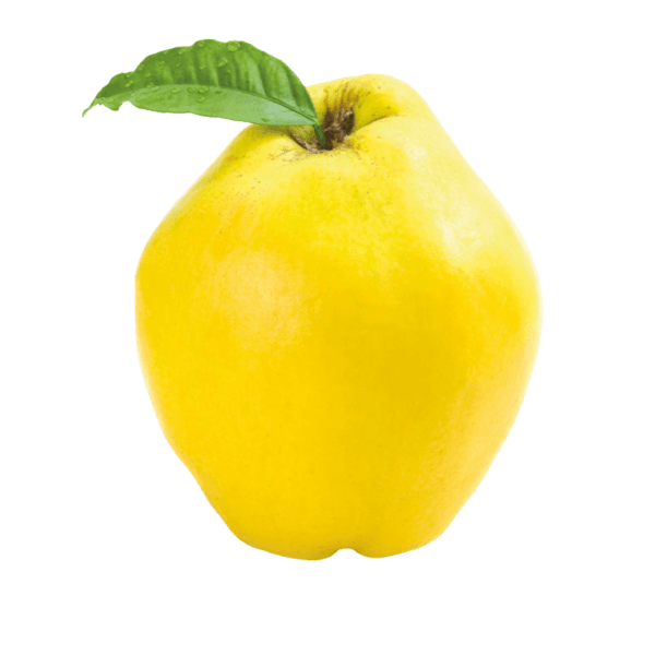 Kweepeer