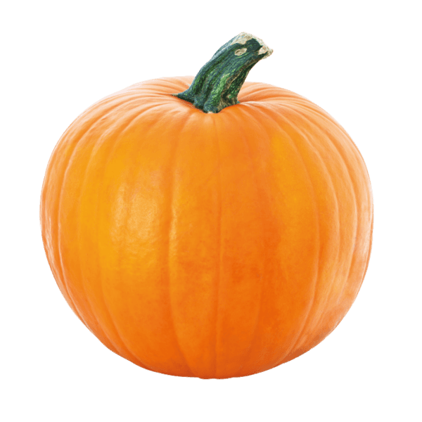 Pompoen