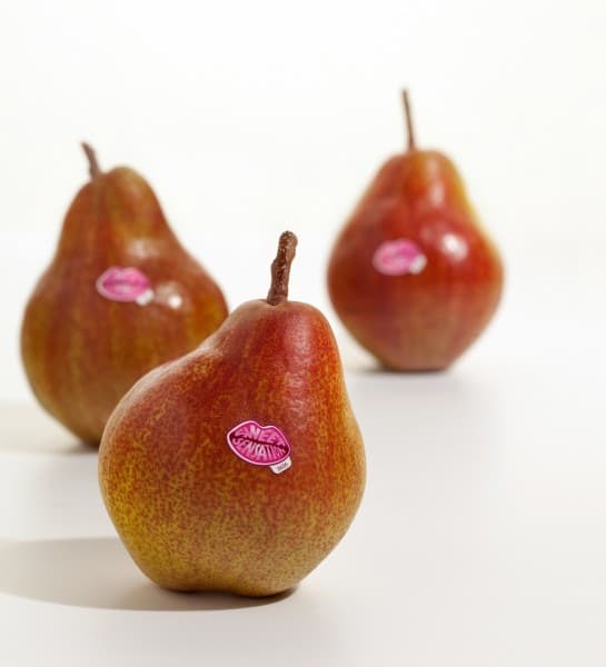 Sweet Sensation Pear