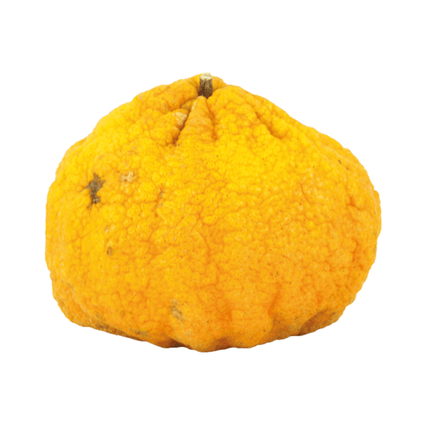 Ugli