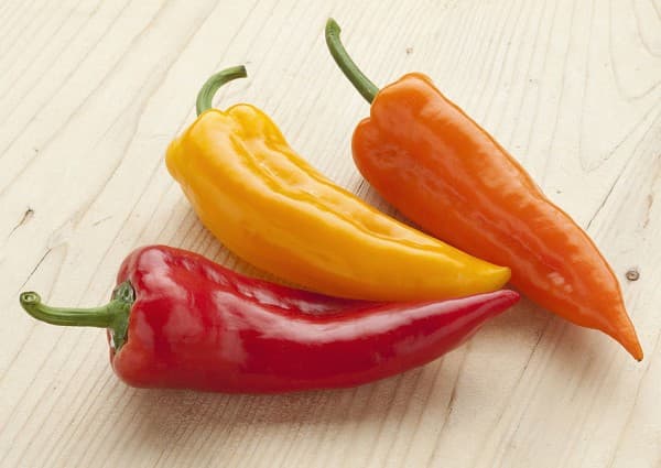 Süßer Spitzpaprika