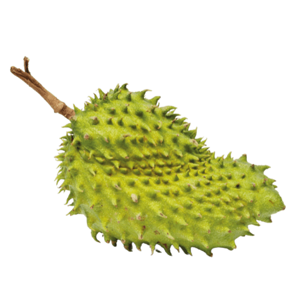 Zuurzak