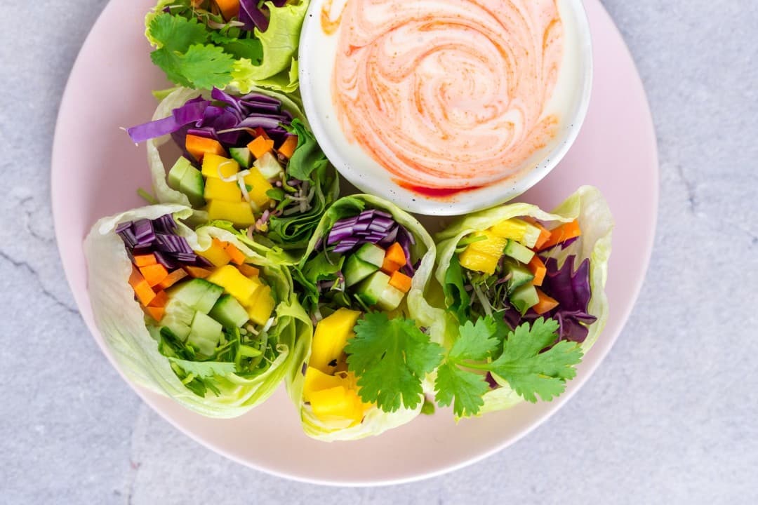 Regenboog wrap met pittige dipsaus