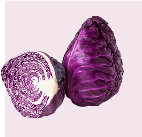 <h1>Nationaler Obst- und Gemüsetag</h1>