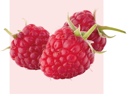 <h1>Nationaler Obst- und Gemüsetag</h1>