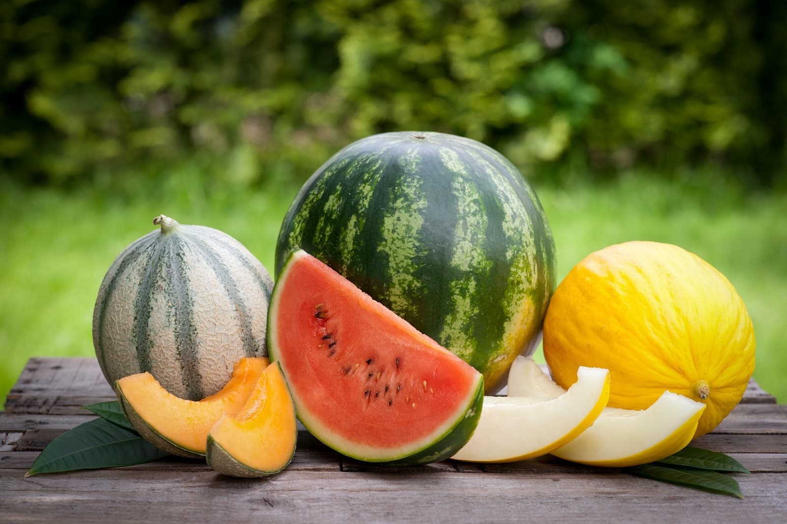 <h1>Cantaloupe, honingmeloen en galiameloen, wat zijn de verschillen?</h1>