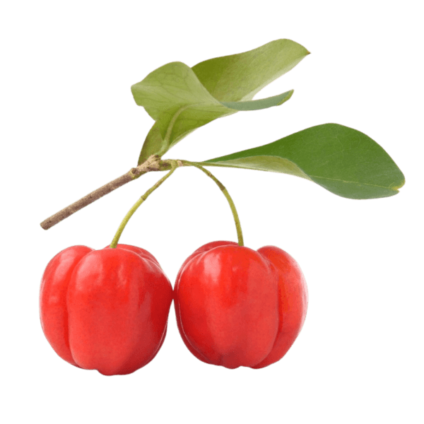 Acerola