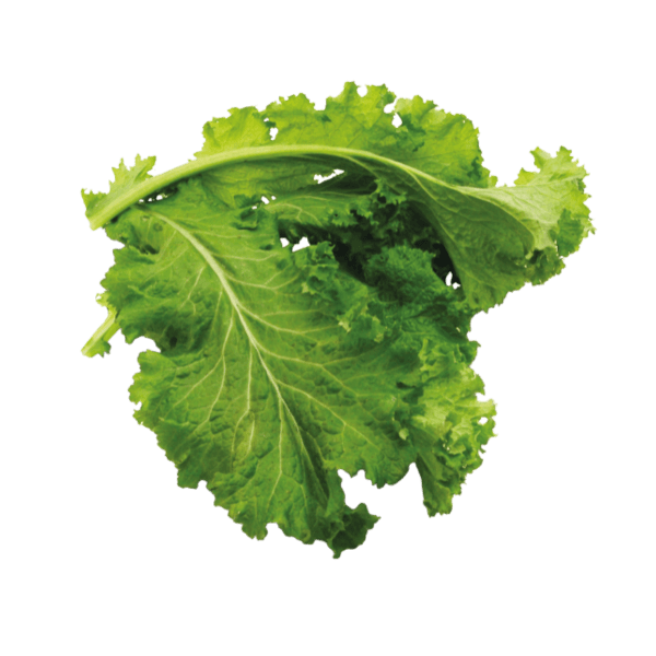 Amsoi