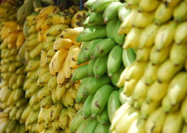 Baby-Bananen
