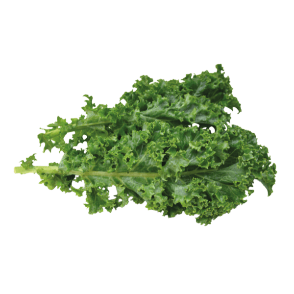 Grünkohl